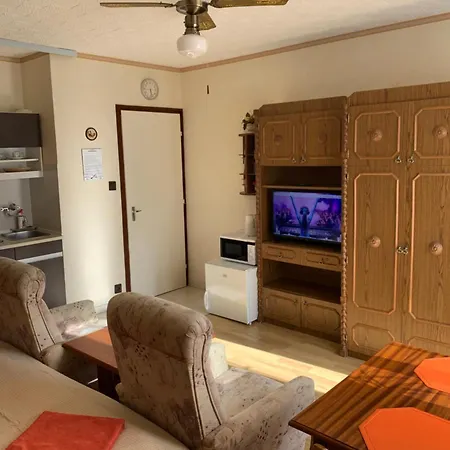 Pensionat Gold Ribbon Family House 3*