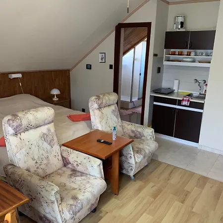 Pensionat Gold Ribbon Family House