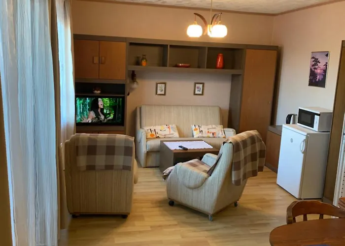 招待所 Gold Ribbon Family House 3*
