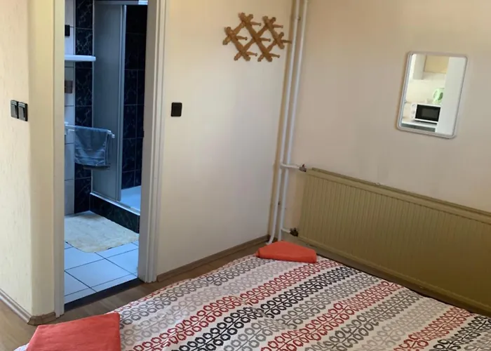 Gold Ribbon Family House Gasthof 3*