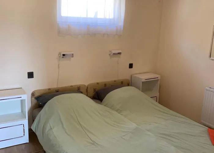 Gold Ribbon Family House 招待所